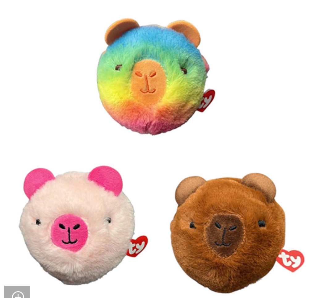 CAPYBARA Assorted  Bouncer